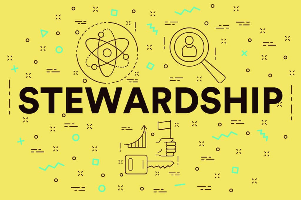 ‘Stewardship’ on a yellow background surrounded by icons and shapes.